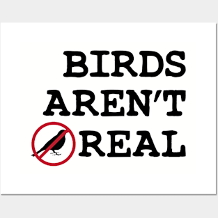 Birds Aren't Real Movement Posters and Art